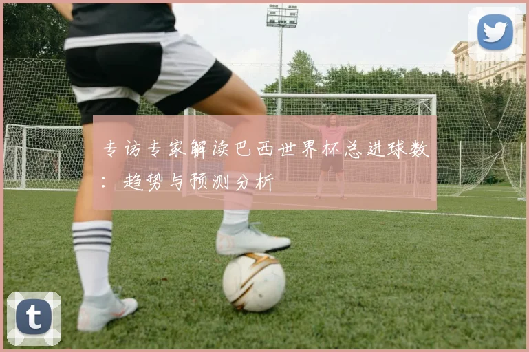 专访专家解读巴西世界杯总进球数：趋势与预测分析