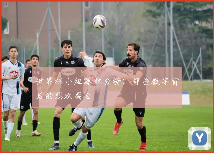 世界杯小组赛积分榜：那些数字背后的悲欢离合