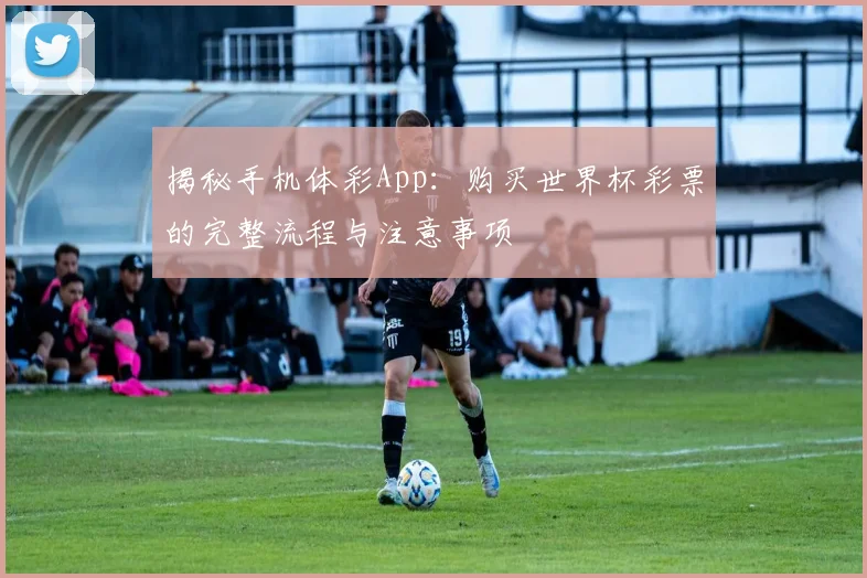 揭秘手机体彩App：购买世界杯彩票的完整流程与注意事项