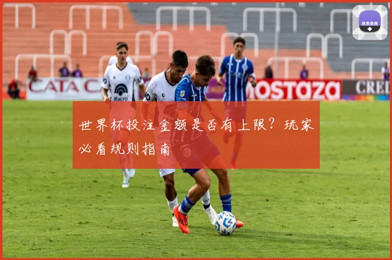 世界杯投注金额是否有上限？玩家必看规则指南