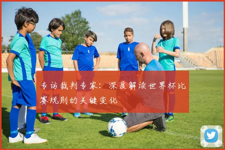 专访裁判专家：深度解读世界杯比赛规则的关键变化
