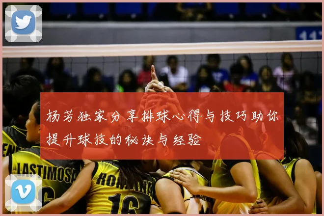 杨芳独家分享排球心得与技巧助你提升球技的秘诀与经验