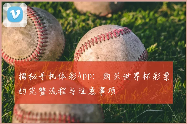 揭秘手机体彩App:购买世界杯彩票的完整流程与注意事项