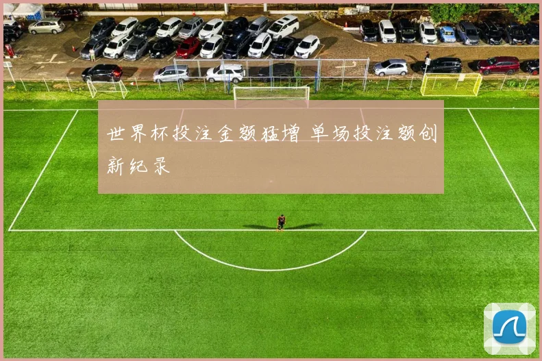 世界杯投注金额猛增 单场投注额创新纪录