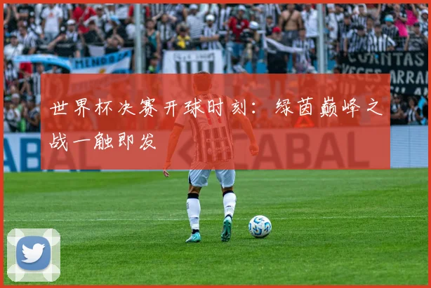 世界杯决赛开球时刻:绿茵巅峰之战一触即发