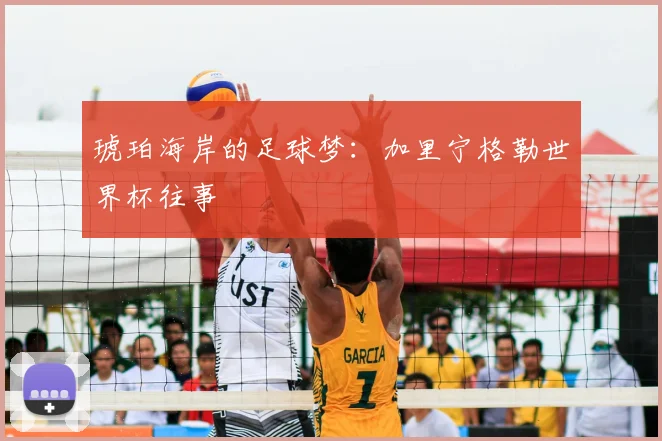 琥珀海岸的足球梦：加里宁格勒世界杯往事